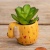 Vase Kaktus Set Yellow Dog